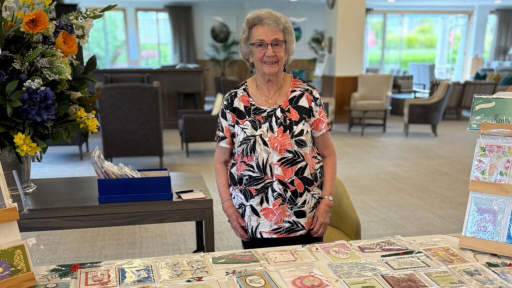 fairview village auckland pop up marketing nov 2025 3